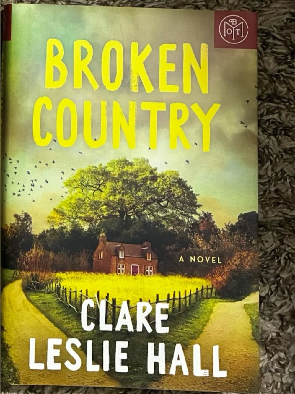 Clare Leslie Hall "Broken Country" Hardcover Book - Yellow/Green Cover